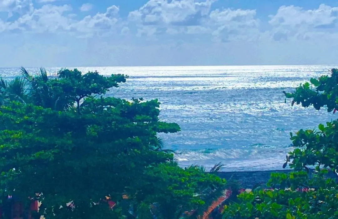 Praia De Maracaipe - Porto De Galinhas - Flat 309-1